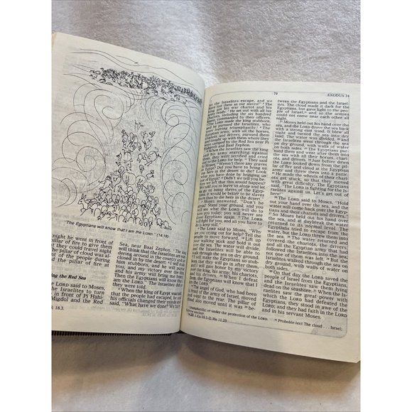 GOOD‎ NEWS BIBLE with Deuterocanonicals / Apocrypha-Today's English-HC '78 - Picture 9 of 12